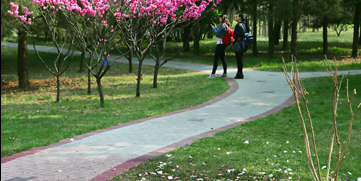 首页| 888集团电子游戏官方网站