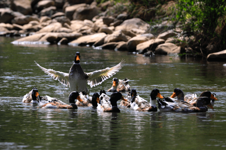 c7c7娱乐平台(中国游)登录官网入口